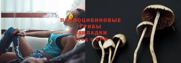 PSILOCYBIN Снежинск