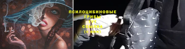 Альфа ПВП Снежногорск