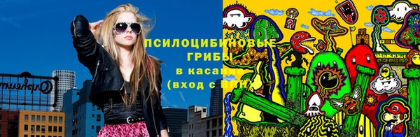 a pvp Слюдянка
