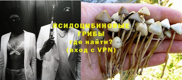 a pvp Слюдянка