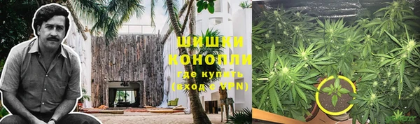 PSILOCYBIN Снежинск
