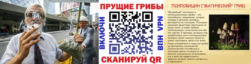 Галлюциногенные грибы Psilocybine cubensis  купить закладку  Нахабино 